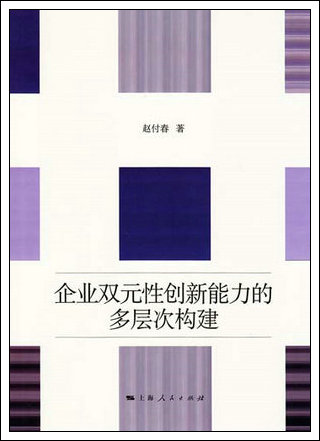 《企业双元性创新能力的多层次构建》